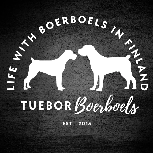 Tuebor Boerboels